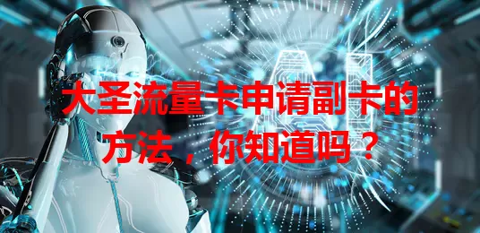 大圣流量卡申请副卡的方法，你知道吗？