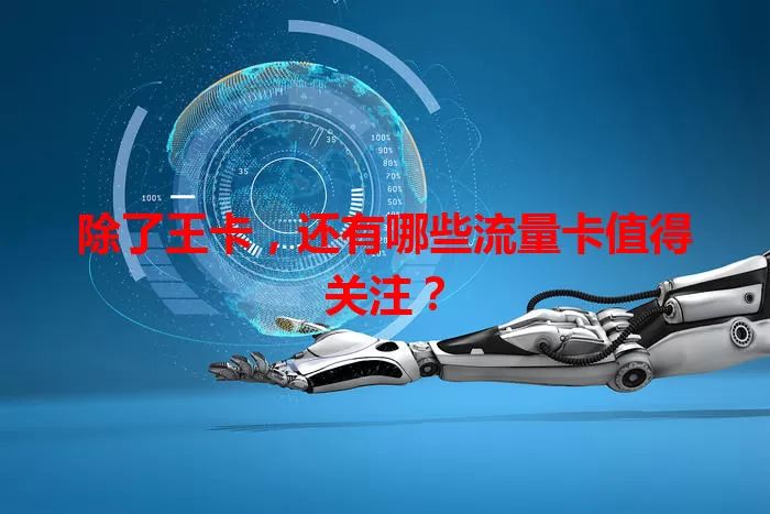 除了王卡，还有哪些流量卡值得关注？