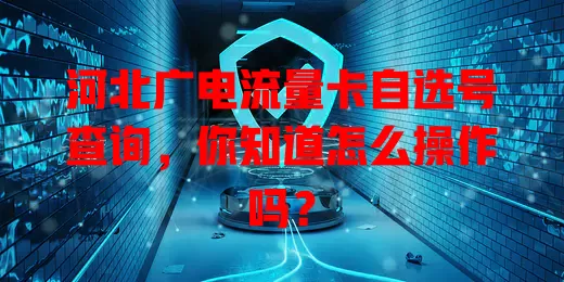 河北广电流量卡自选号查询，你知道怎么操作吗？