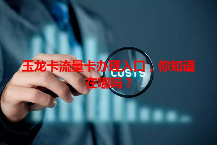 玉龙卡流量卡办理入口，你知道在哪吗？