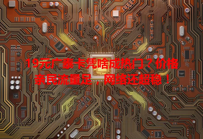 19元广泰卡凭啥成热门？价格亲民流量足，网络还超稳！