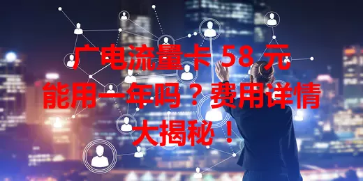 广电流量卡 58 元能用一年吗？费用详情大揭秘！