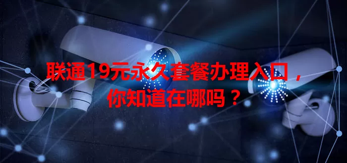 联通19元永久套餐办理入口，你知道在哪吗？