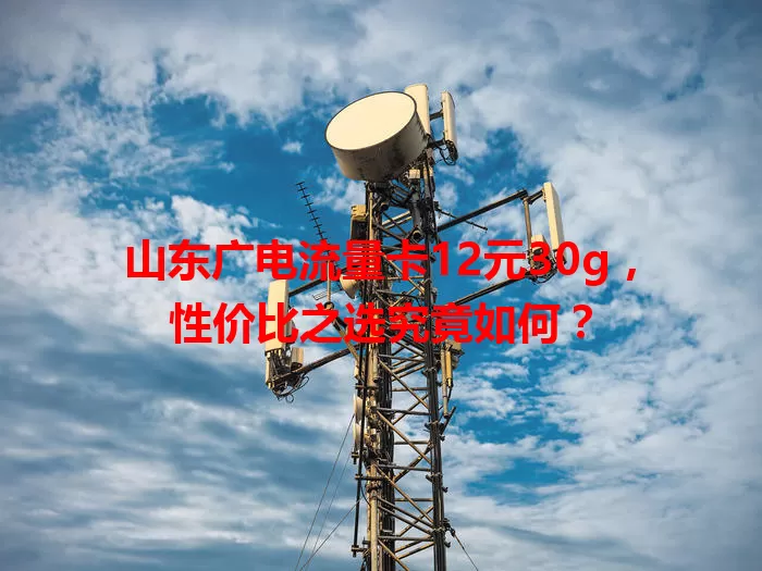 山东广电流量卡12元30g，性价比之选究竟如何？