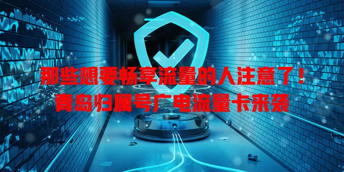 那些想要畅享流量的人注意了！青岛归属号广电流量卡来袭