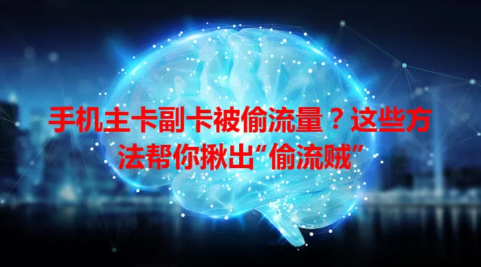 手机主卡副卡被偷流量？这些方法帮你揪出“偷流贼”