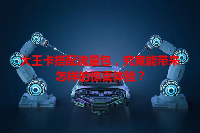 大王卡搭配流量包，究竟能带来怎样的惊喜体验？