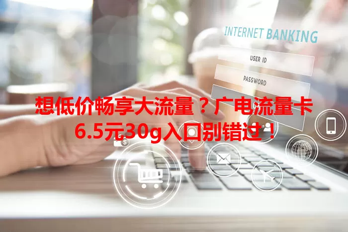 想低价畅享大流量？广电流量卡6.5元30g入口别错过！