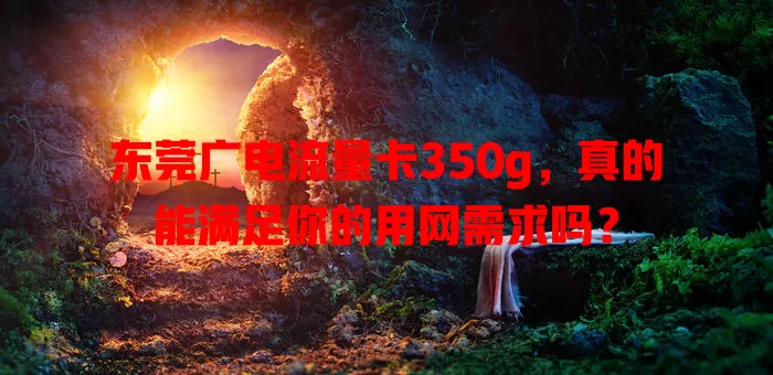 东莞广电流量卡350g，真的能满足你的用网需求吗？