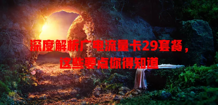 深度解析广电流量卡29套餐，这些要点你得知道