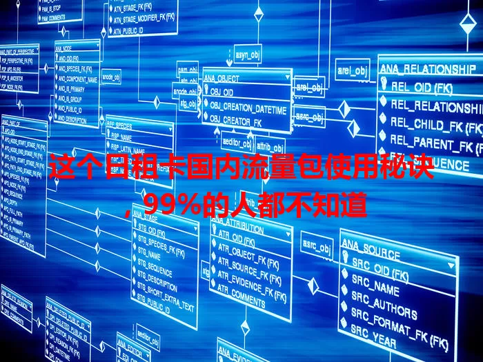 这个日租卡国内流量包使用秘诀,99%的人都不知道