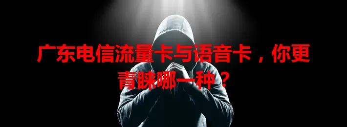 广东电信流量卡与语音卡，你更青睐哪一种？