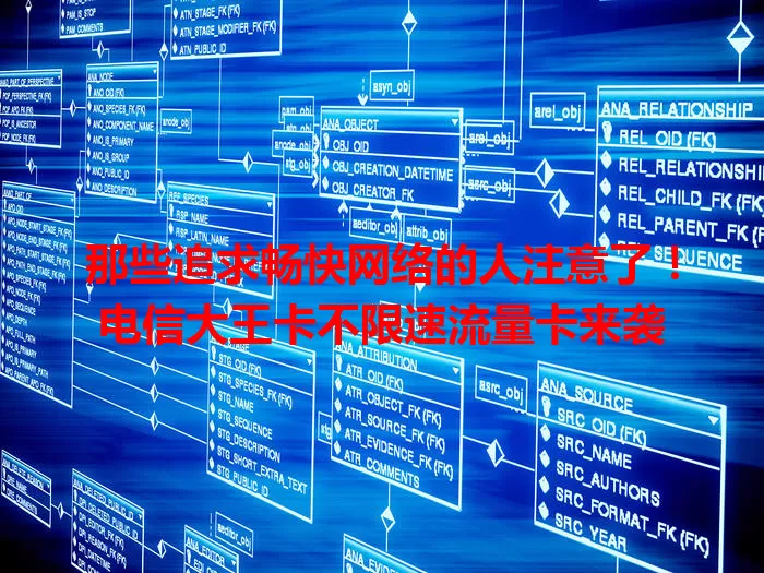 那些追求畅快网络的人注意了！电信大王卡不限速流量卡来袭