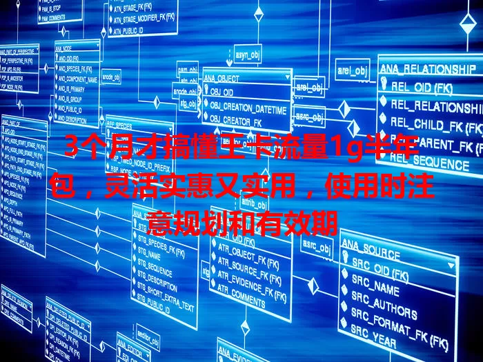 3个月才搞懂王卡流量1g半年包，灵活实惠又实用，使用时注意规划和有效期