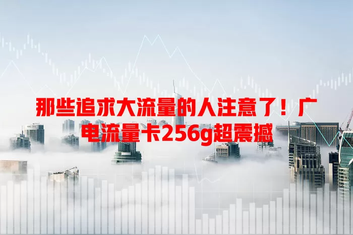 那些追求大流量的人注意了！广电流量卡256g超震撼