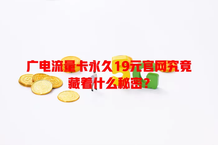 广电流量卡永久19元官网究竟藏着什么秘密？
