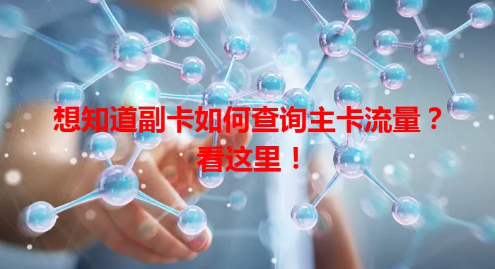 想知道副卡如何查询主卡流量？看这里！