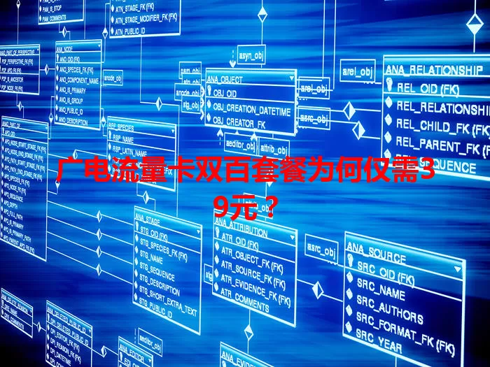 广电流量卡双百套餐为何仅需39元？