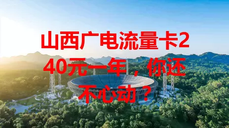山西广电流量卡240元一年，你还不心动？