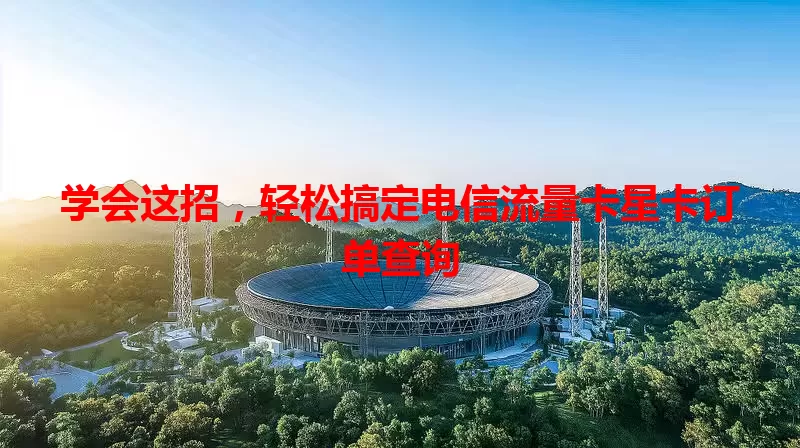 学会这招，轻松搞定电信流量卡星卡订单查询