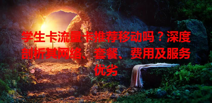 学生卡流量卡推荐移动吗？深度剖析其网络、套餐、费用及服务优劣