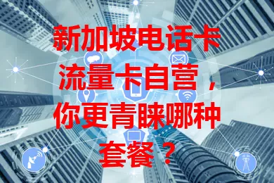 新加坡电话卡流量卡自营，你更青睐哪种套餐？