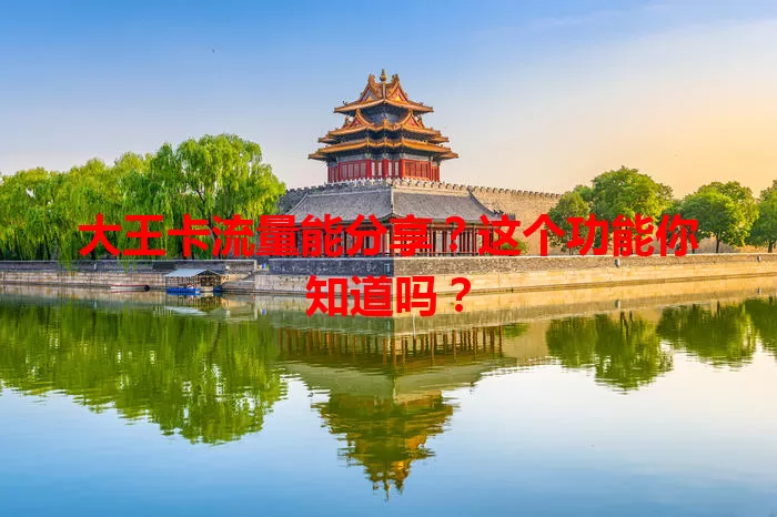 大王卡流量能分享？这个功能你知道吗？