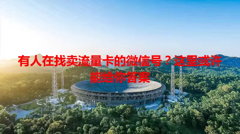 有人在找卖流量卡的微信号？这里或许能给你答案