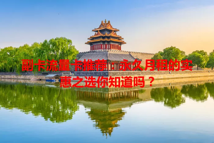 副卡流量卡推荐：永久月租的实惠之选你知道吗？