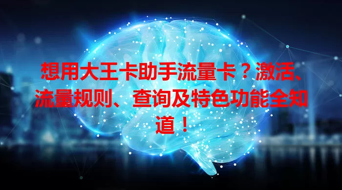 想用大王卡助手流量卡？激活、流量规则、查询及特色功能全知道！