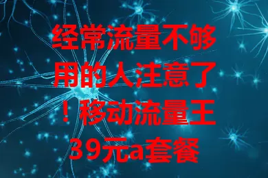经常流量不够用的人注意了！移动流量王39元a套餐专用流量超划算