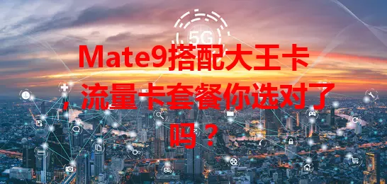 Mate9搭配大王卡，流量卡套餐你选对了吗？