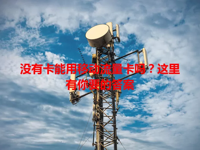 没有卡能用移动流量卡吗？这里有你要的答案