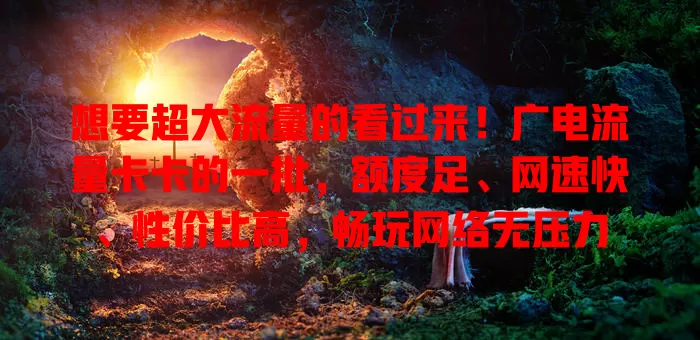 想要超大流量的看过来！广电流量卡卡的一批，额度足、网速快、性价比高，畅玩网络无压力