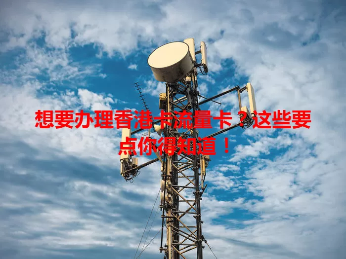 想要办理香港卡流量卡？这些要点你得知道！