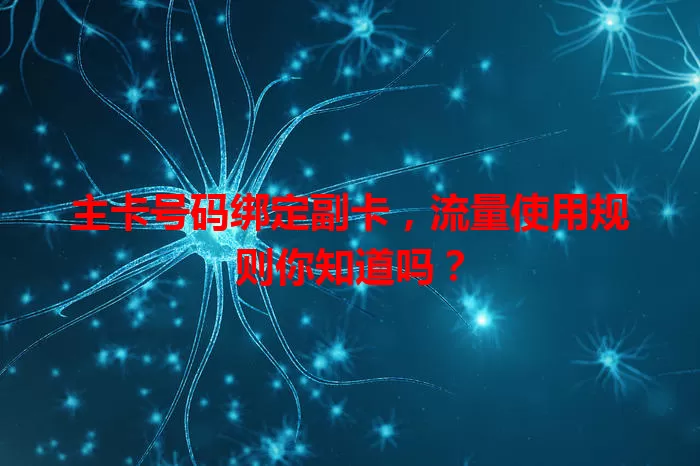 主卡号码绑定副卡，流量使用规则你知道吗？