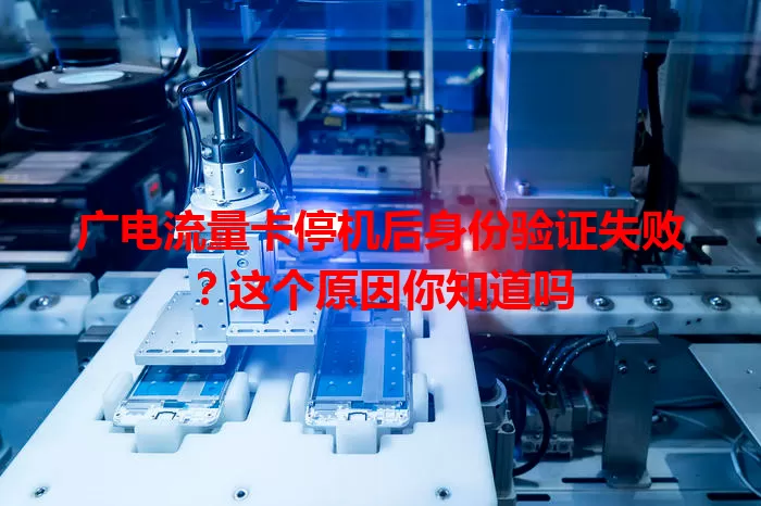 广电流量卡停机后身份验证失败？这个原因你知道吗