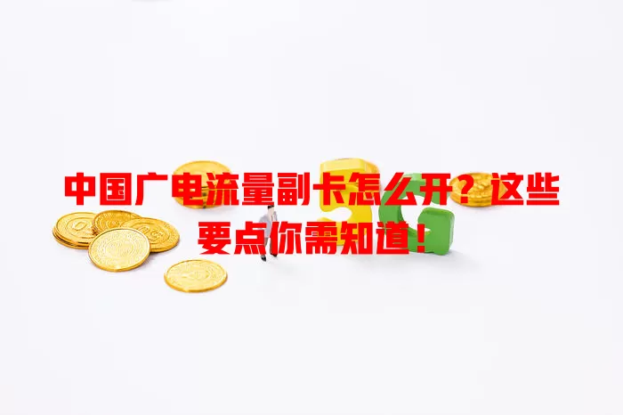 中国广电流量副卡怎么开？这些要点你需知道！