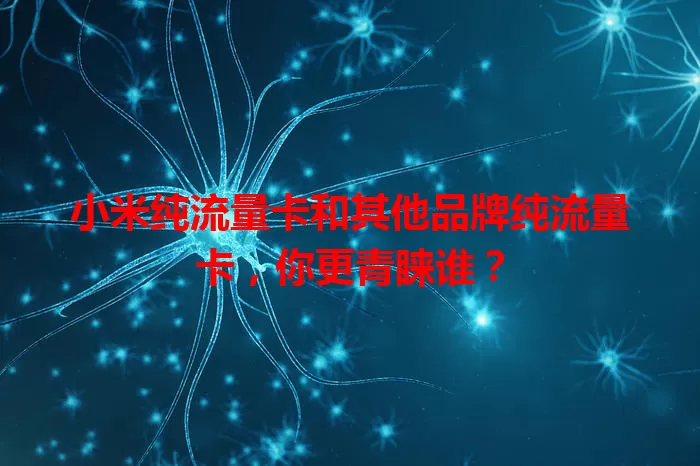 小米纯流量卡和其他品牌纯流量卡，你更青睐谁？