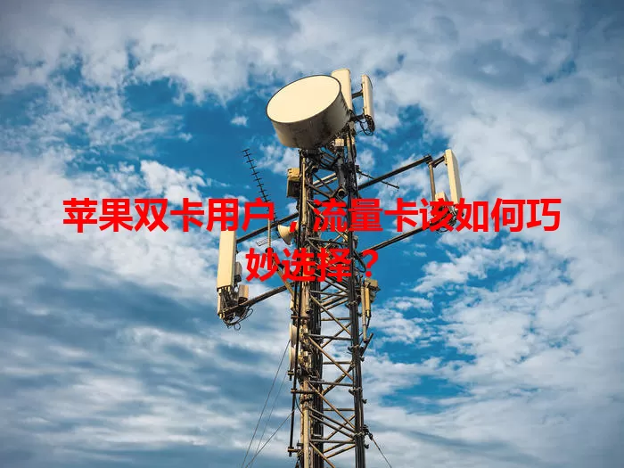 苹果双卡用户，流量卡该如何巧妙选择？