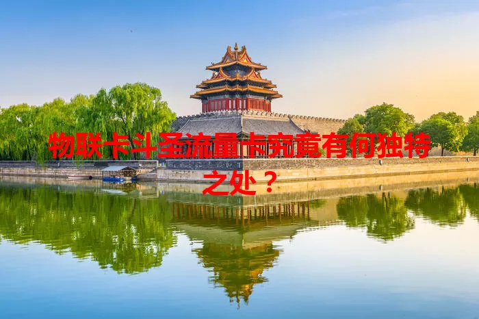 物联卡斗圣流量卡究竟有何独特之处？
