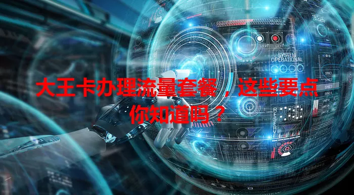 大王卡办理流量套餐,这些要点你知道吗?
