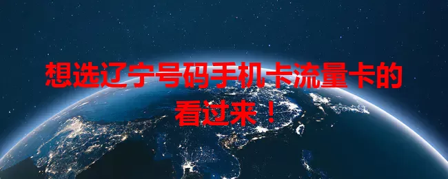 想选辽宁号码手机卡流量卡的看过来！