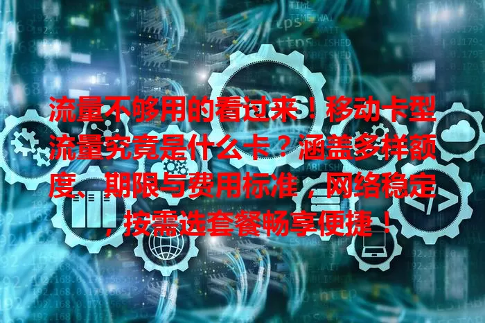 流量不够用的看过来！移动卡型流量究竟是什么卡？涵盖多样额度、期限与费用标准，网络稳定，按需选套餐畅享便捷！