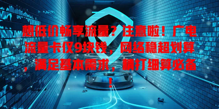 想低价畅享流量？注意啦！广电流量卡仅9块钱，网络稳超划算，满足基本需求，精打细算必备！