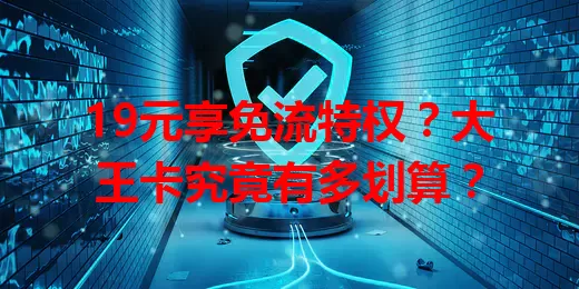 19元享免流特权？大王卡究竟有多划算？