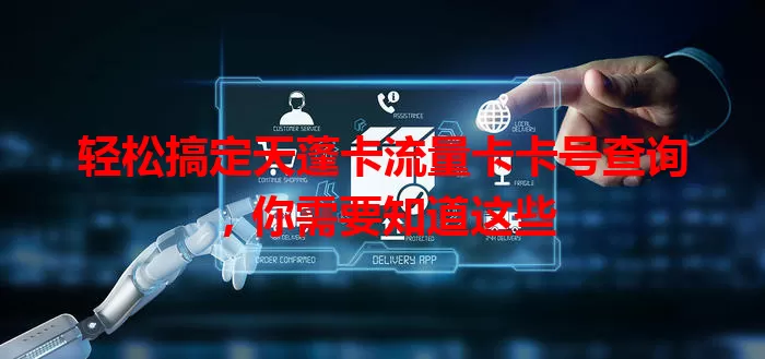 轻松搞定天蓬卡流量卡卡号查询，你需要知道这些