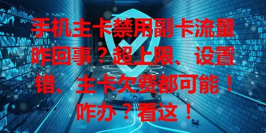 手机主卡禁用副卡流量咋回事？超上限、设置错、主卡欠费都可能！咋办？看这！