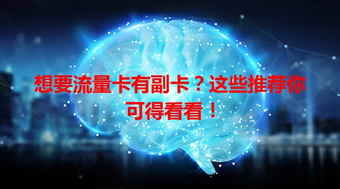 想要流量卡有副卡？这些推荐你可得看看！