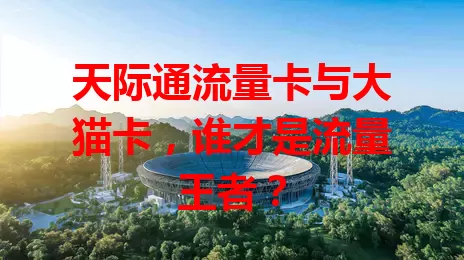 天际通流量卡与大猫卡，谁才是流量王者？